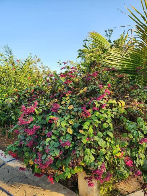 Farmhouse Close To Nature - Kesari Farm Gandhinagar Eksteriør billede